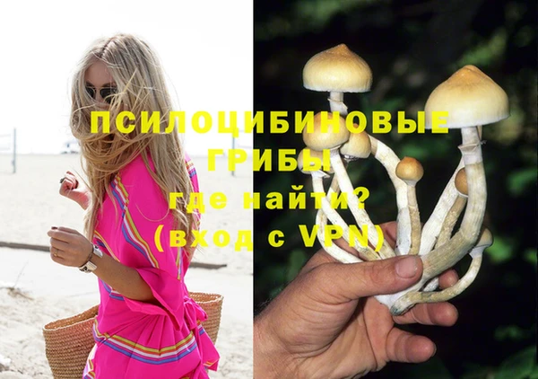 дурь Саяногорск